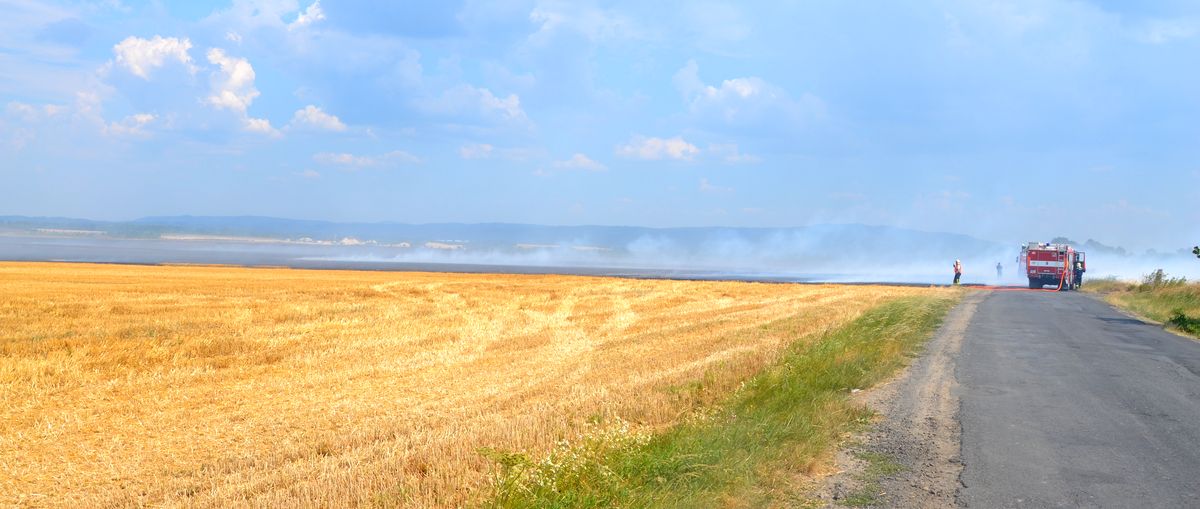 DSC_0038.JPG