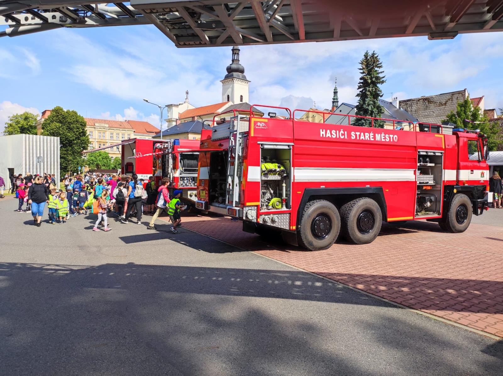 Den IZS MT_4.jpg