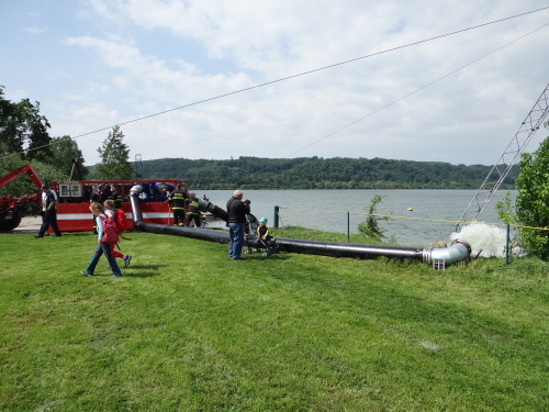 DensIZShasici_Hlucin (10).JPG