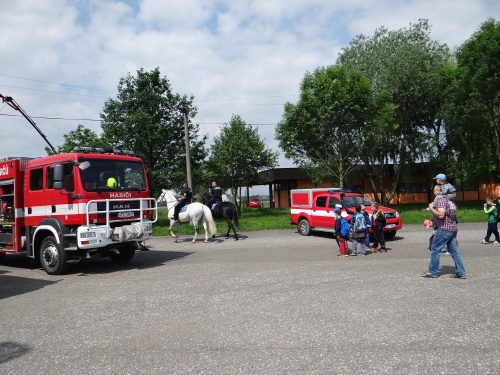 DensIZShasici_Hlucin (11).JPG