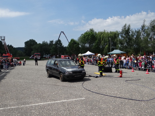 DensIZShasici_Hlucin (29).JPG