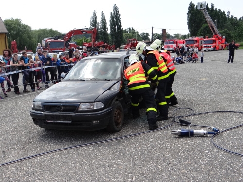 DensIZShasici_Hlucin (30).JPG