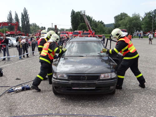 DensIZShasici_Hlucin (35).JPG