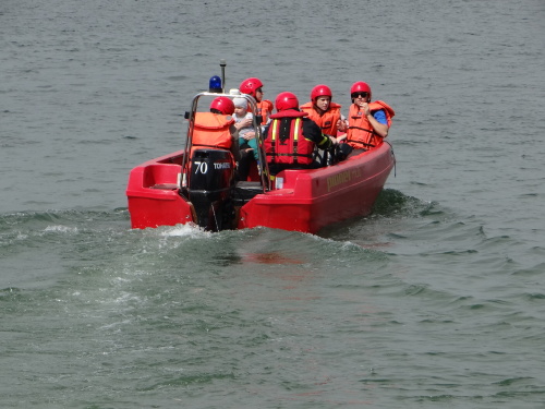 DensIZShasici_Hlucin (8).JPG