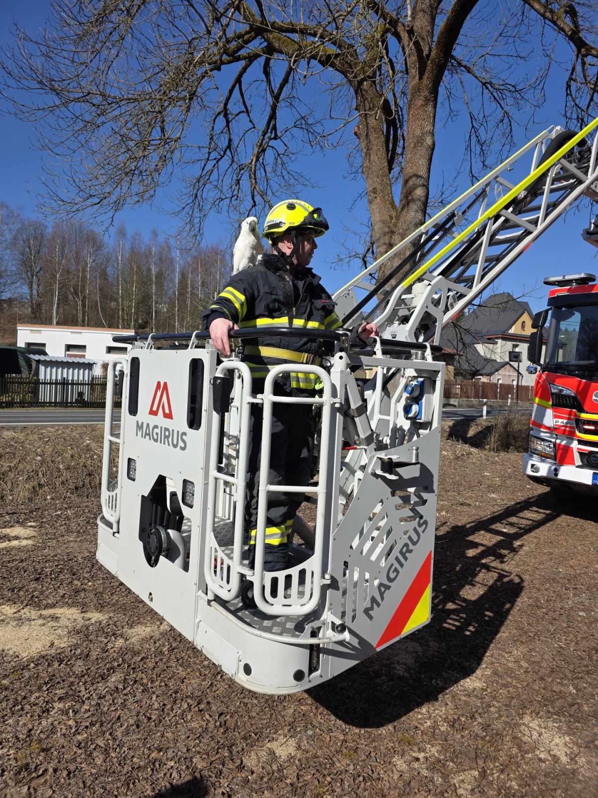 Papouška kakadu Julii se jabloneckým hasičům podařilo zachránit velmi rychle