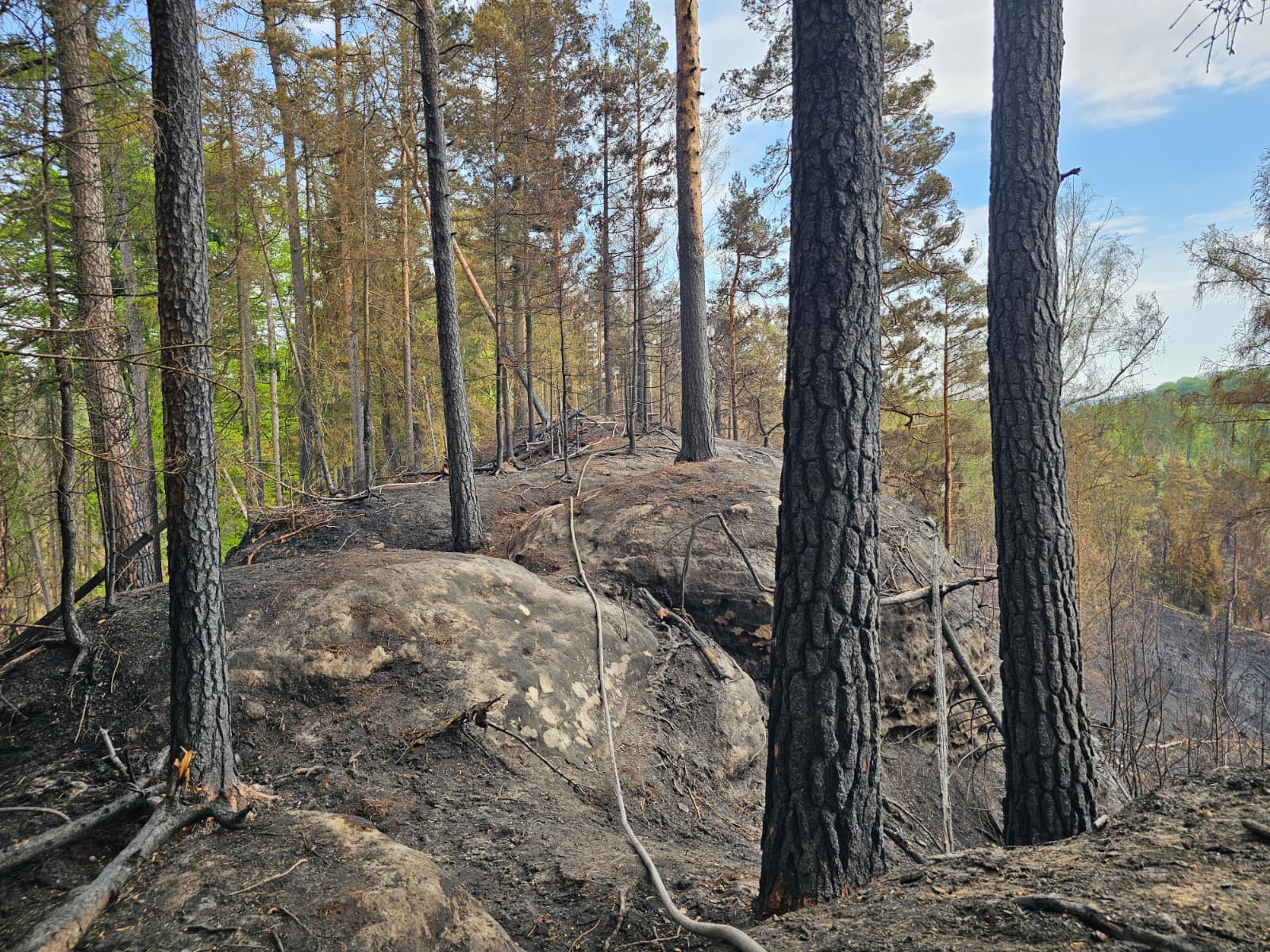 Foto