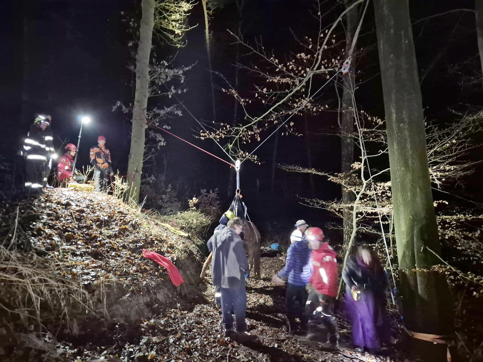 Foto – záchrana koně