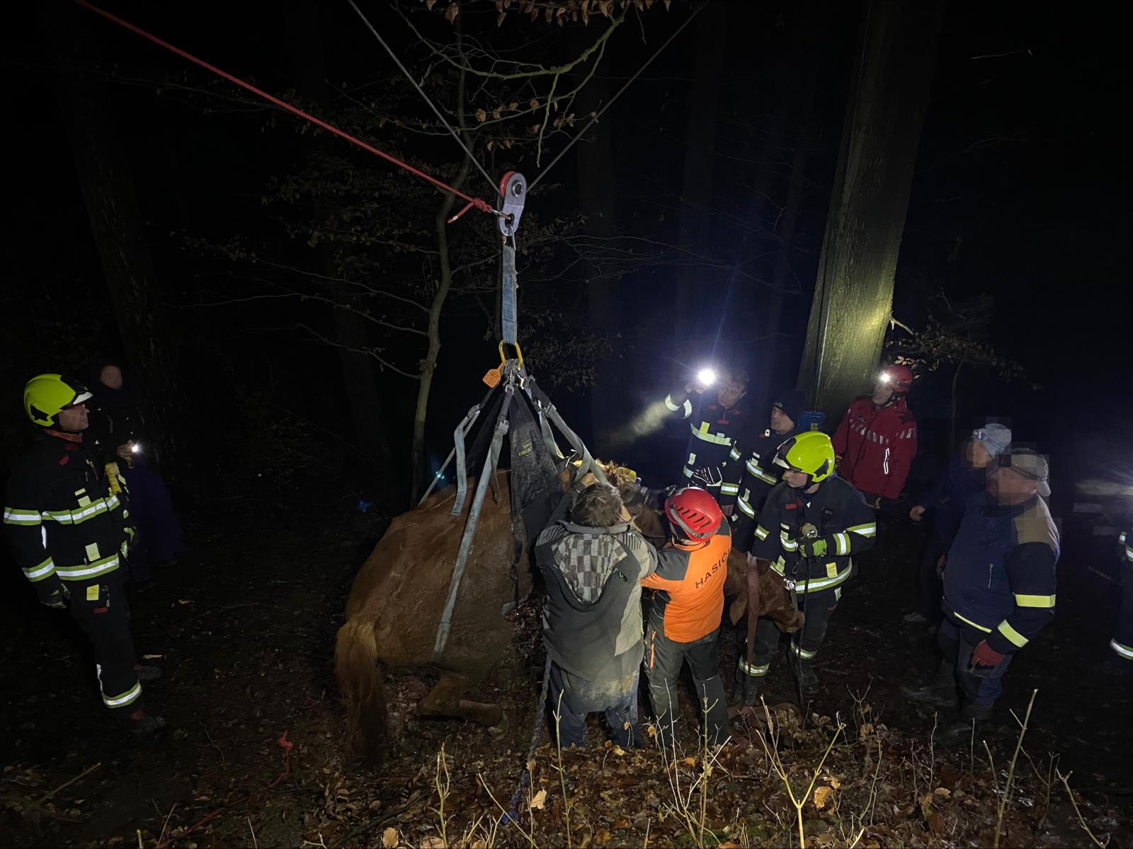 Foto – záchrana koně