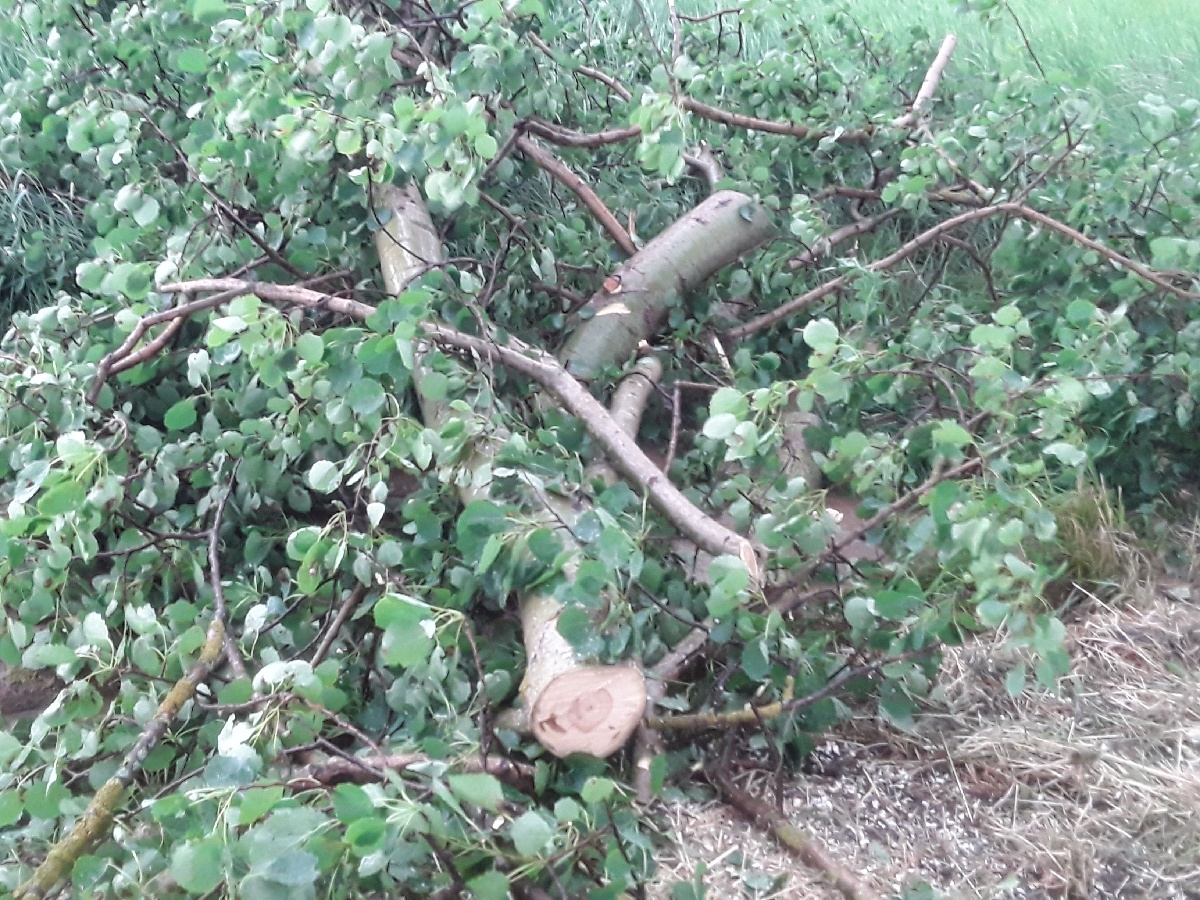 Hasiči likvidovali následky bouřky.