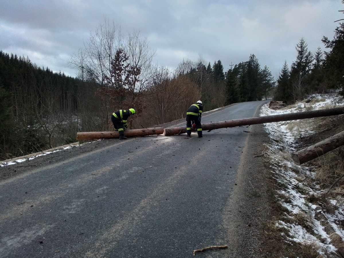 Hasiči zasahovali u popadaných stromů