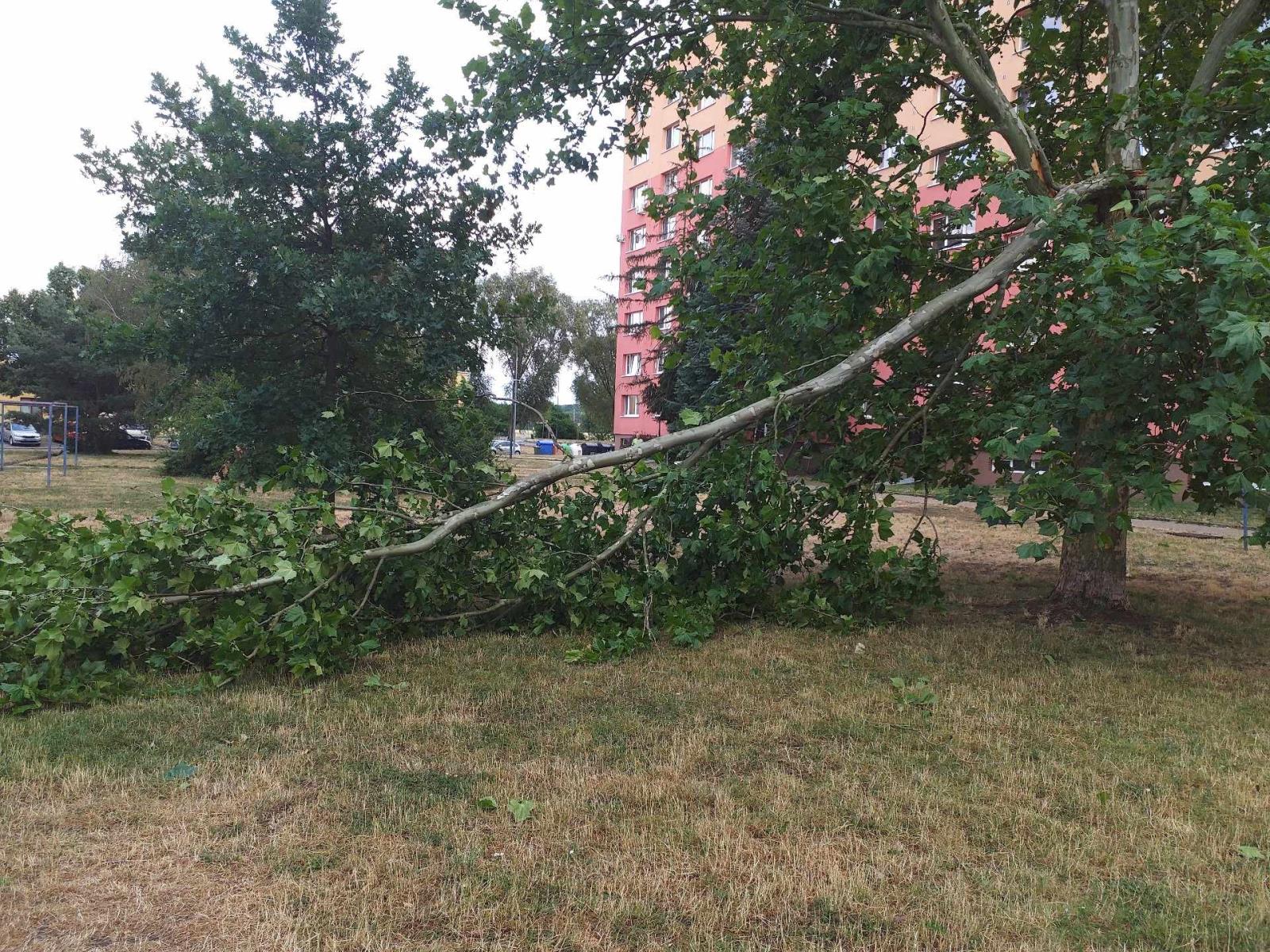 Hodonín_1.jpeg