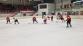 Hokejové utkání