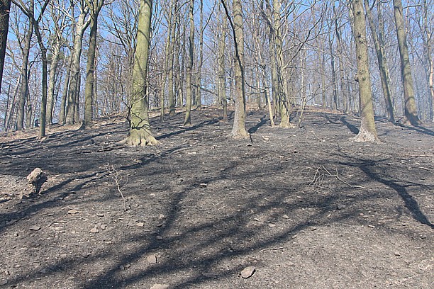 Hoštice (6).JPG