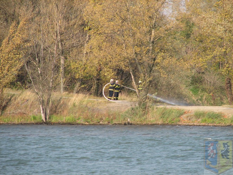 IMG_5693.JPG