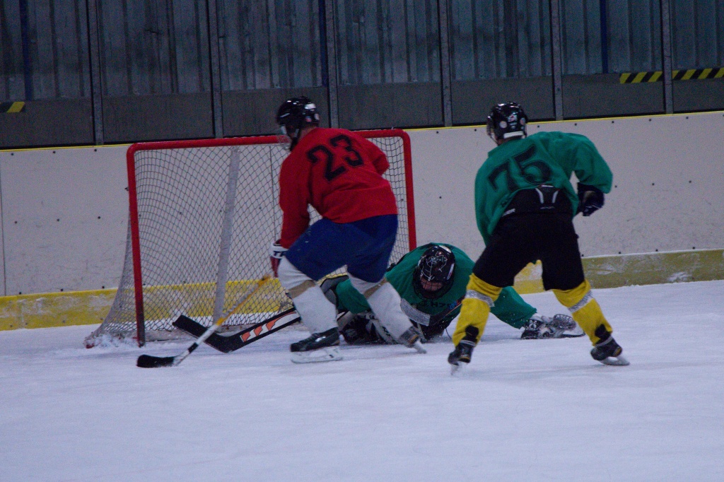 IMG_7442.jpg