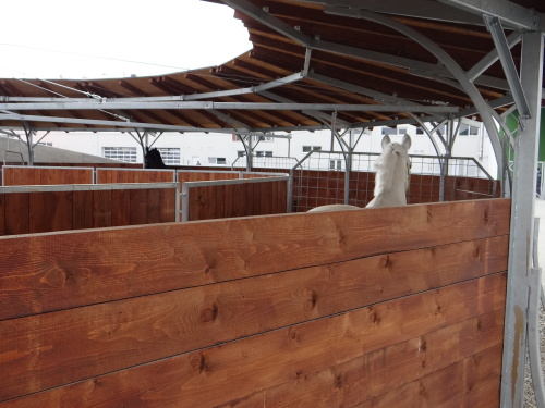 IVCOstrava-Jihotevreni_peku (12).JPG