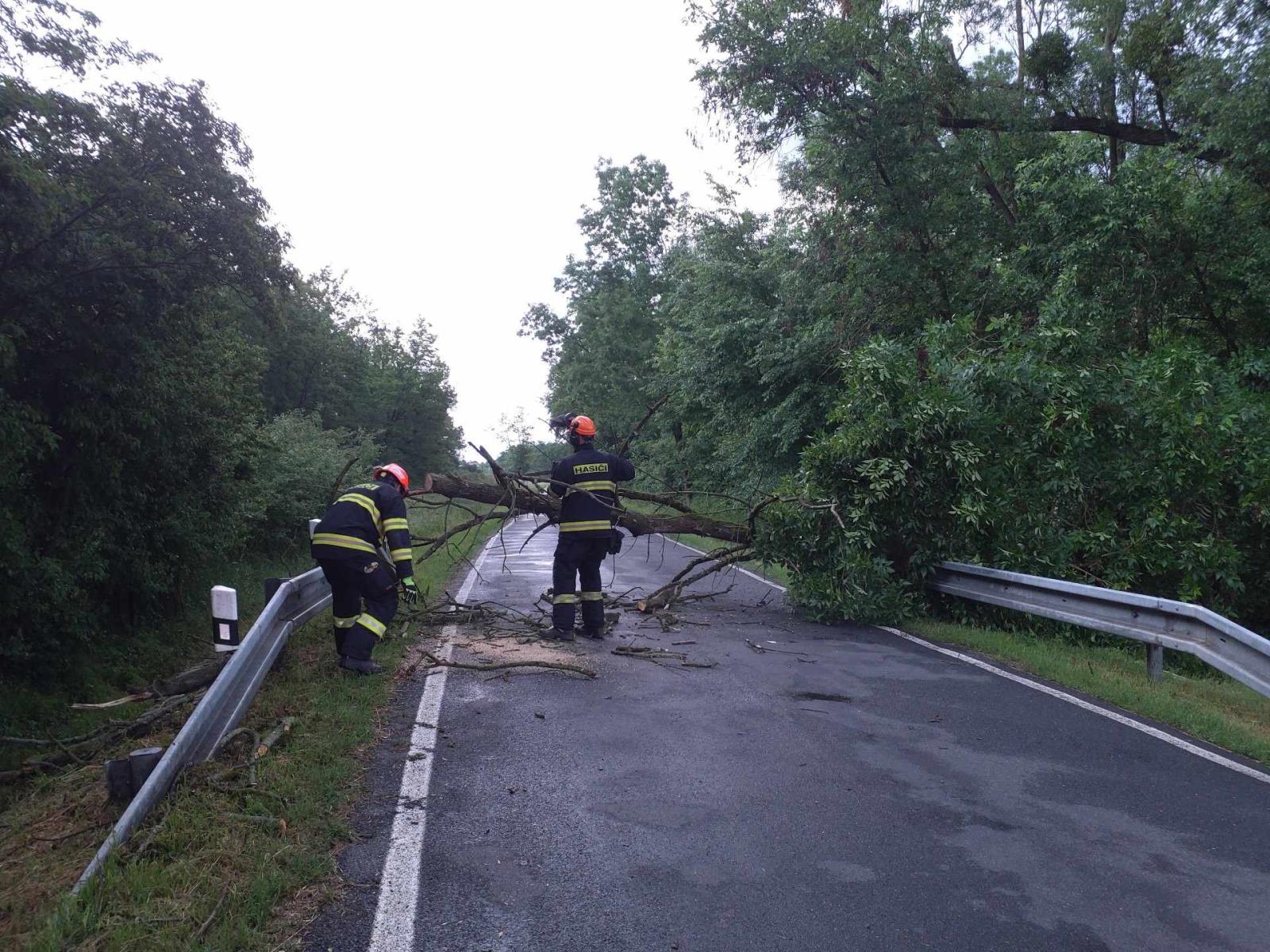 Jevišovka.jpeg