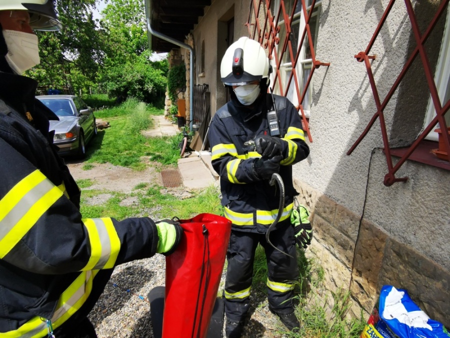 KHK_Odchyt hada_hasič držící odchycené zvíře a kolega, který mu podává vak.jpg