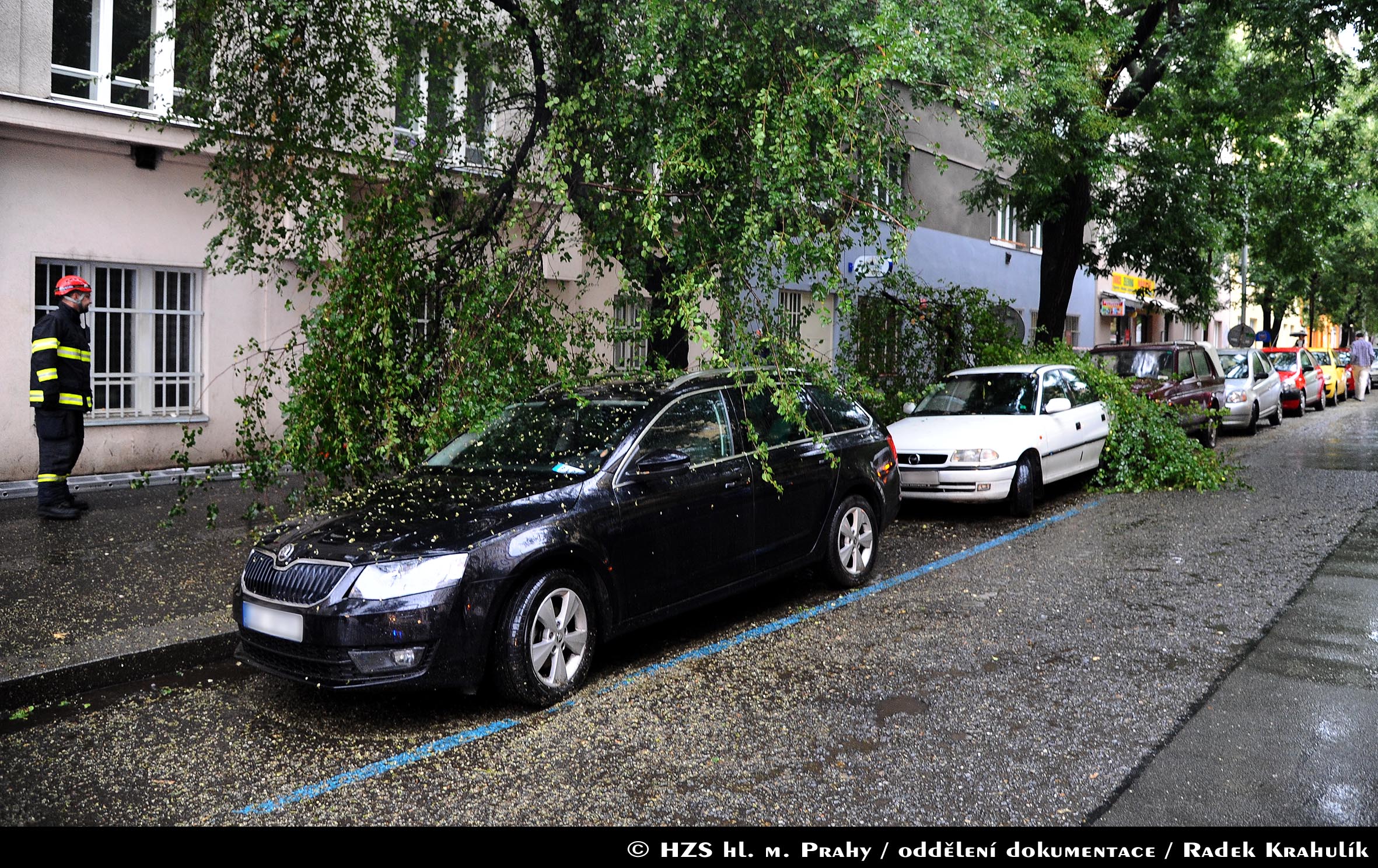 Likvidace větve spadlé na automobil, Biskupcova ulice, Praha 3, srpen 2015