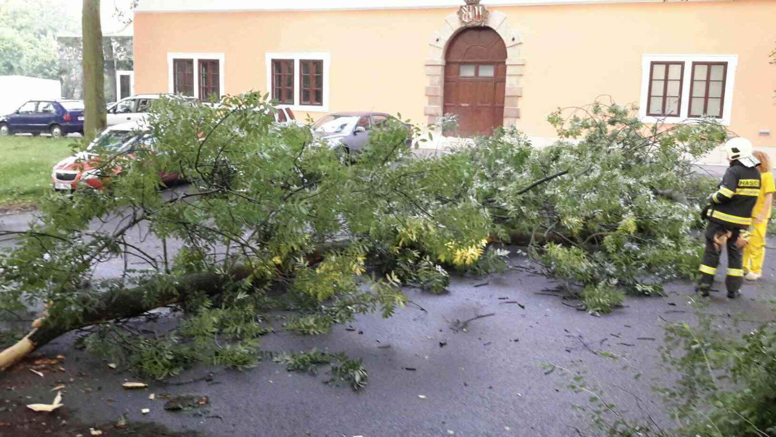 Litomyšl.jpg