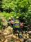 MZM 2026, foto V. Nehasil