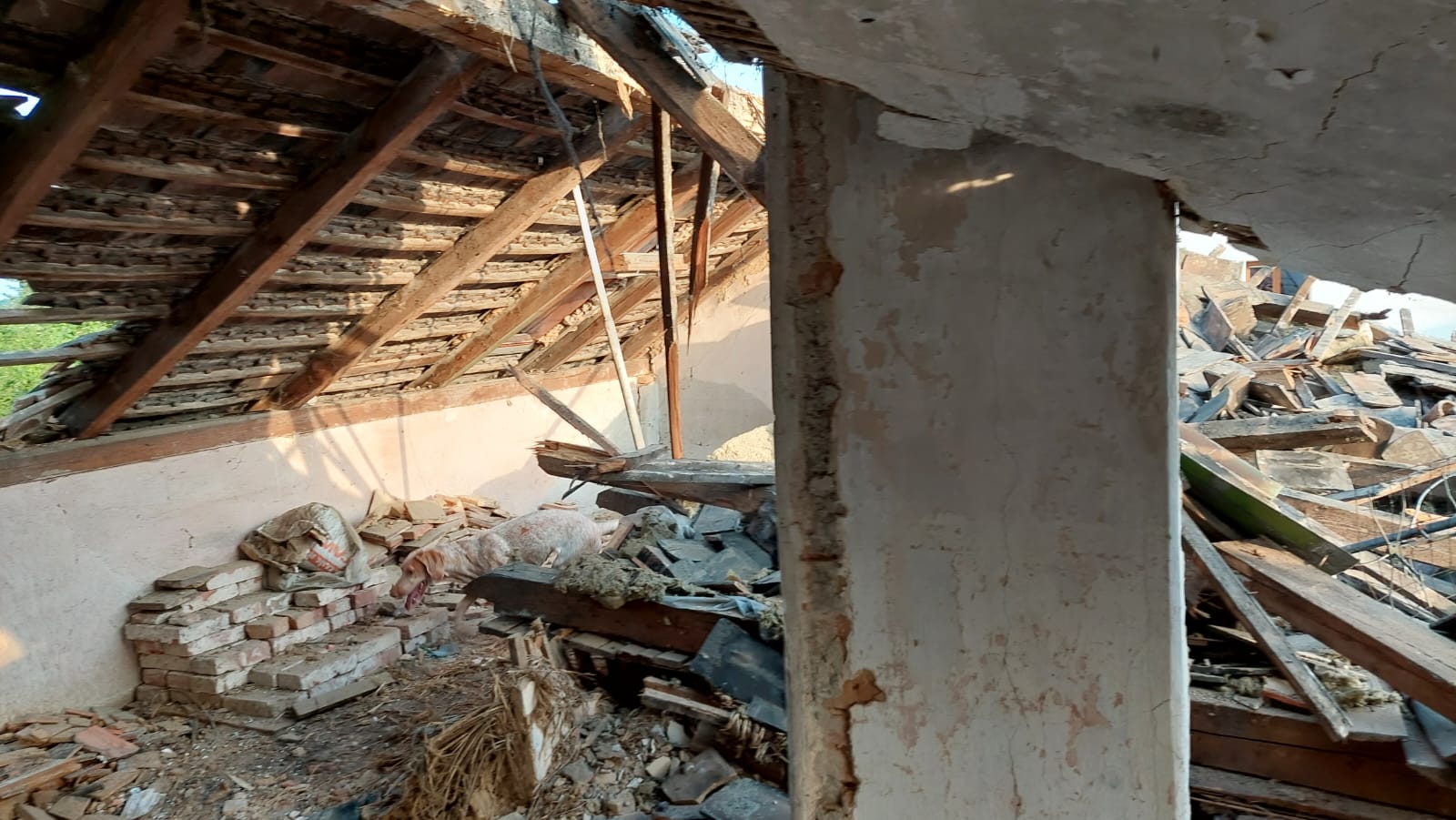 Nasazení kynologů HZS LBK v Mnichově Hradišti