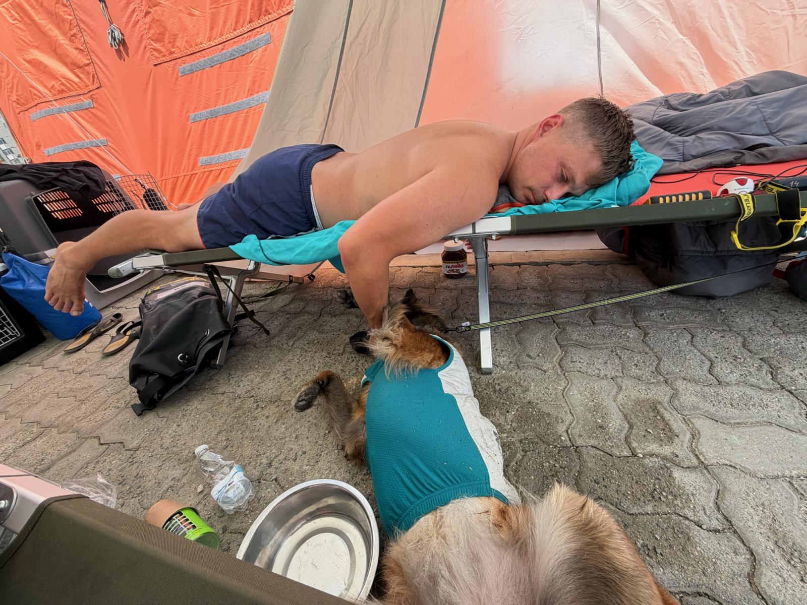 Nasazení na místě, kynologické práce
