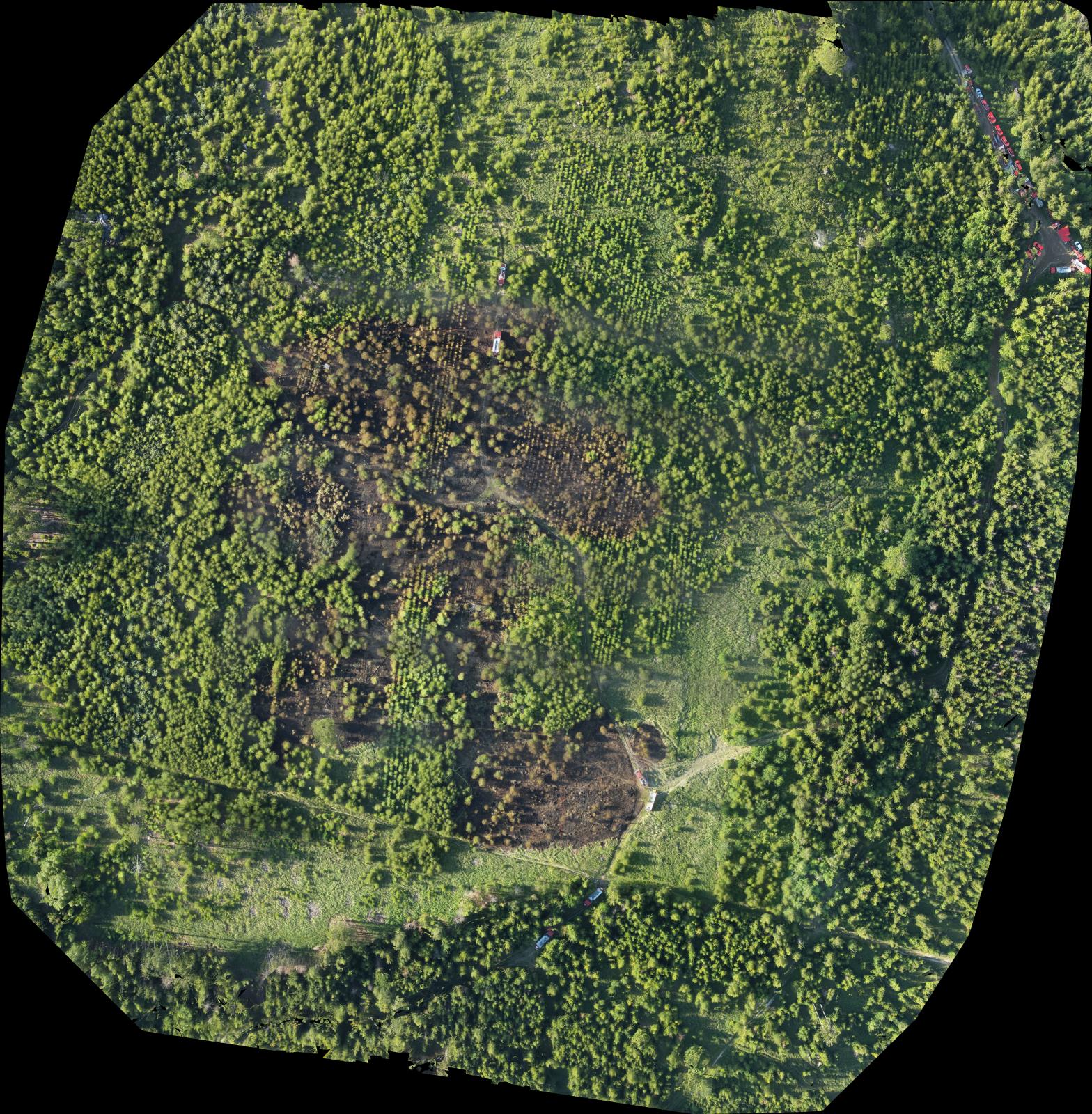 OLK_POZAR_LESA_transparent_mosaic_group1.jpg