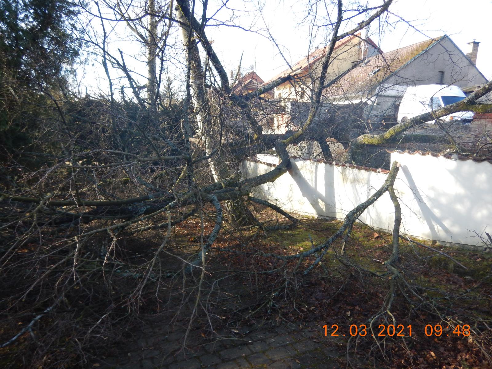 Odklizení spadlého stromu, Tábor - 12. 3. 2021 (1).JPG