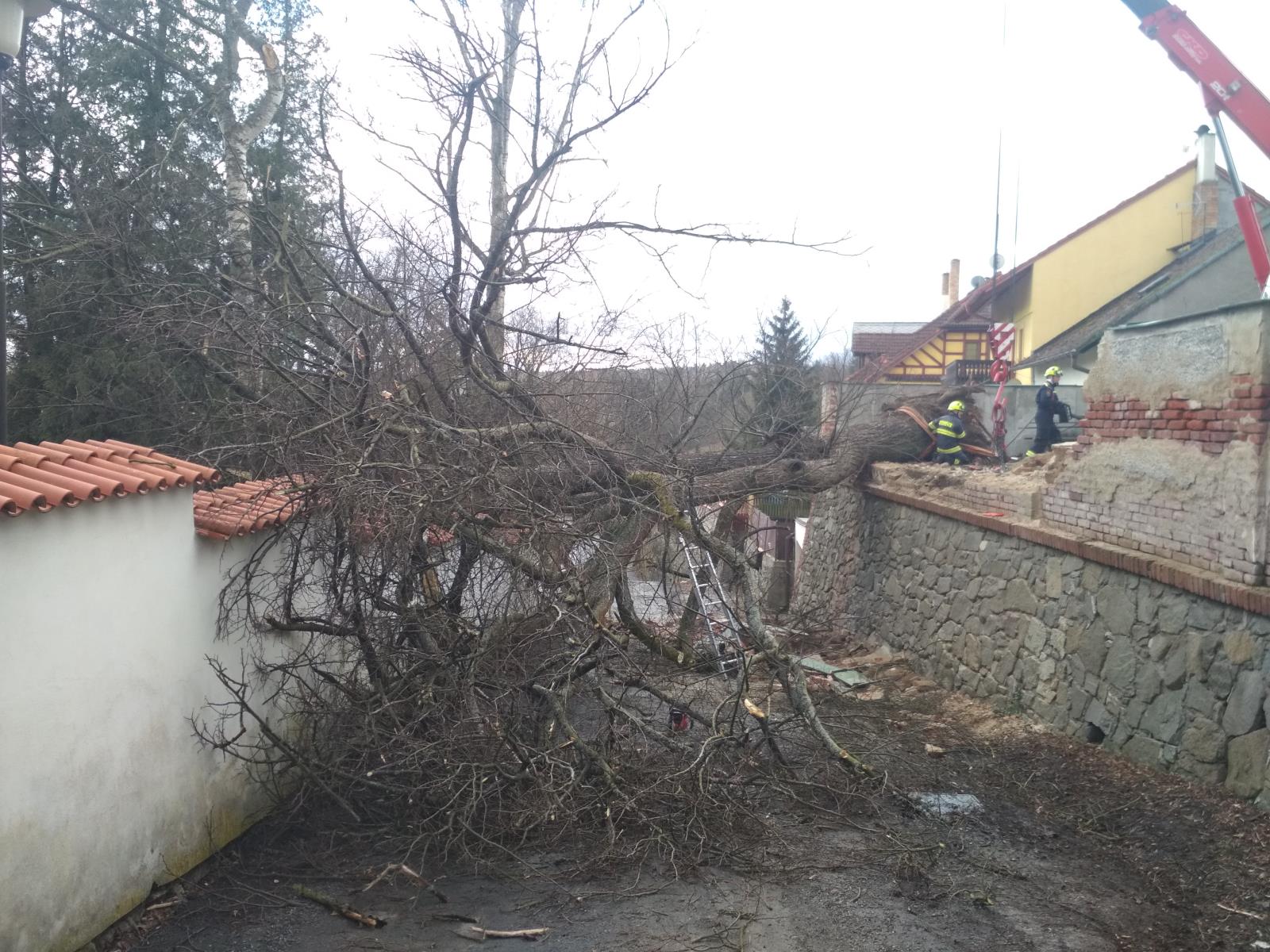 Odklizení spadlého stromu, Tábor - 12. 3. 2021 (11).jpg