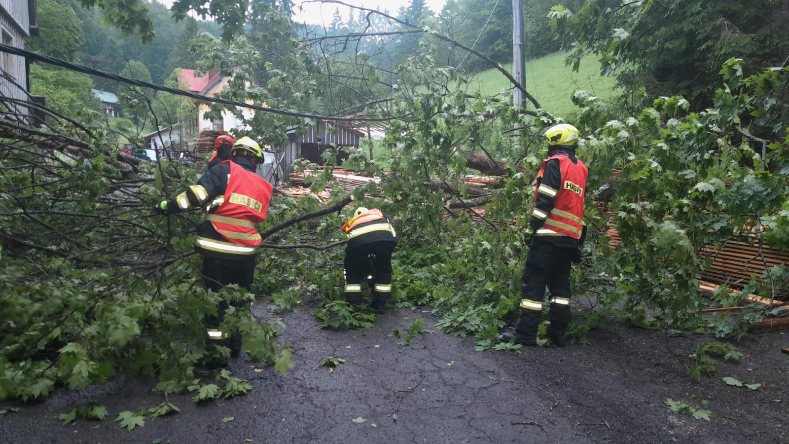 Odstranění stromu, Jablonec nad Jizerou, Dolní Dušnice