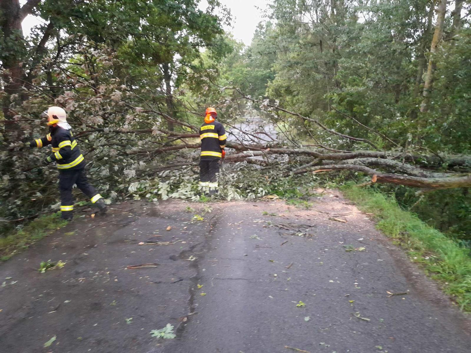 Odstranění stromu z komunikace v Dubnici u Jablonného v Podještědí