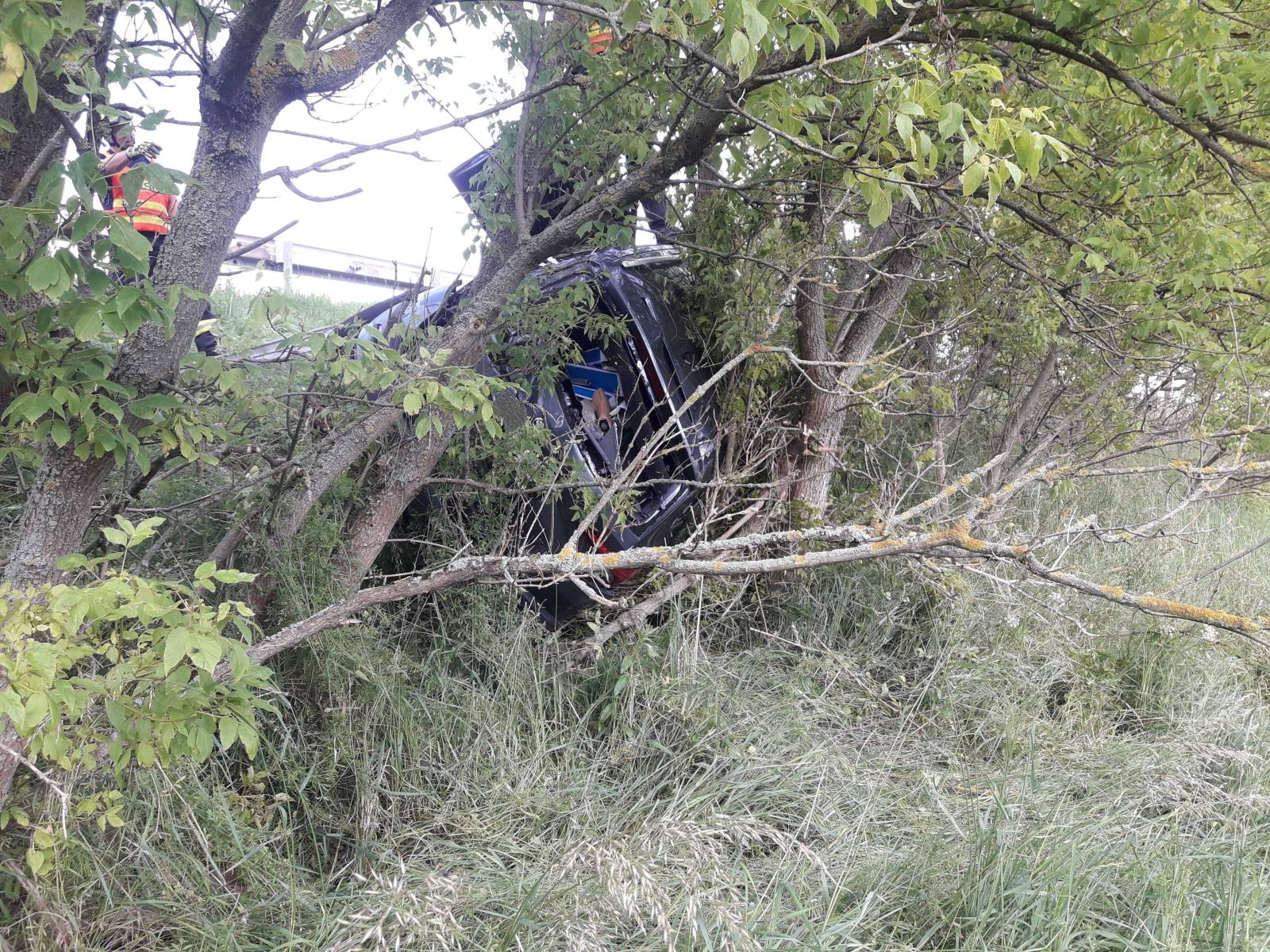 Opatovec1 26.6.2020.jpg