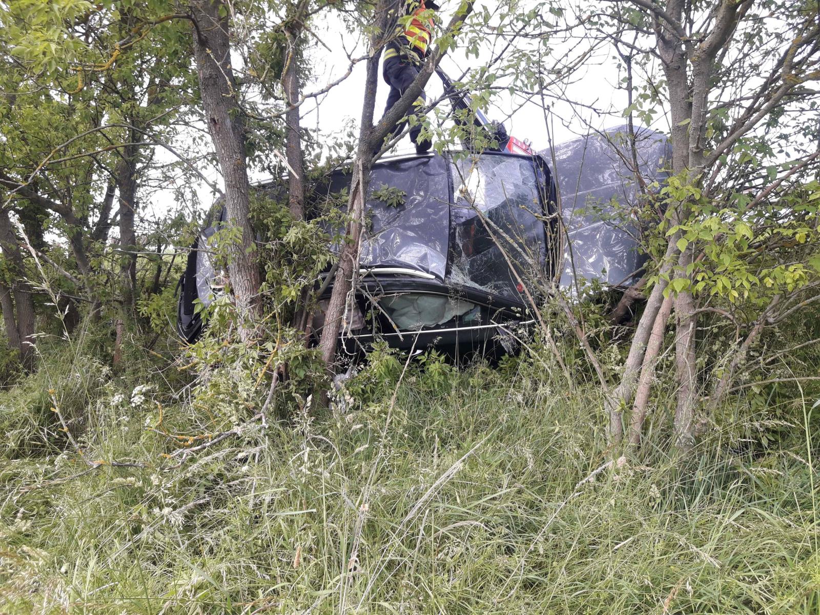 Opatovec2 26.6.2020.jpg