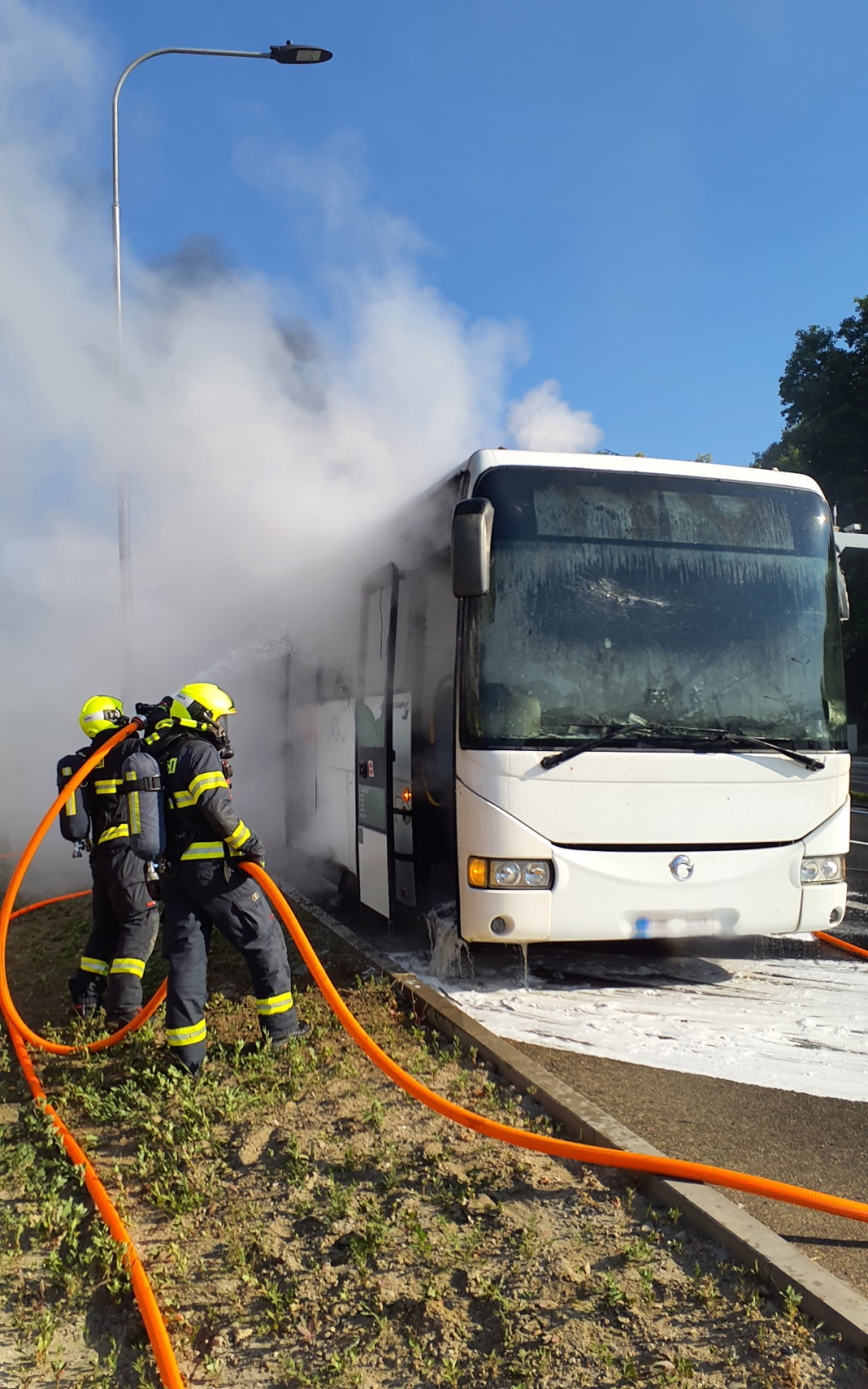 P BUS (2).png