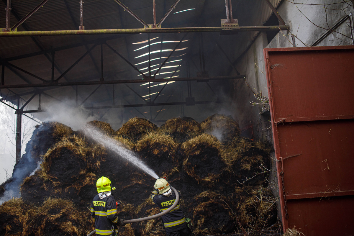 P Česká Metuje (16).jpg