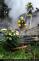 P-Jesenicka_012