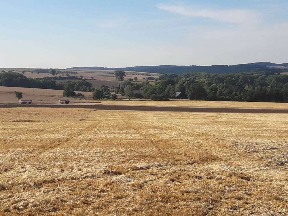 P Jičiněves, Žitětín (1).jpg