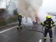 P OA (4)