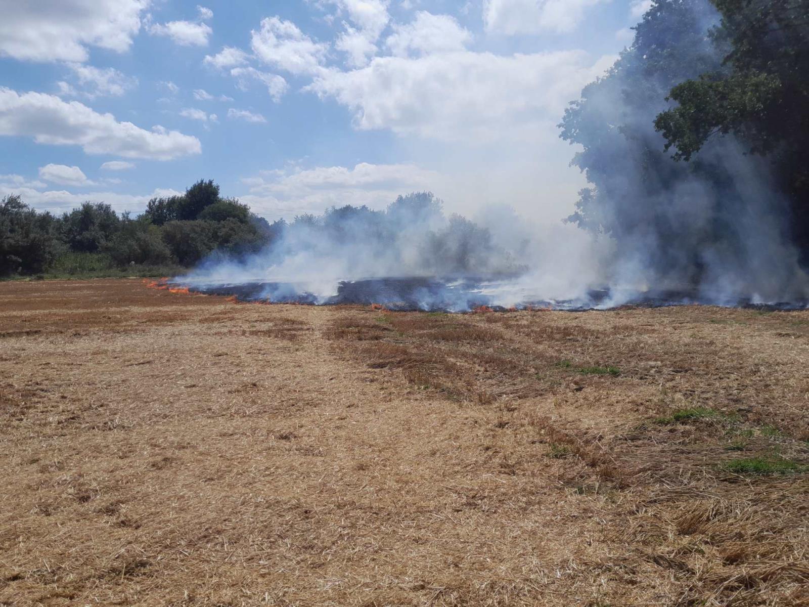 P strniště Přepeře