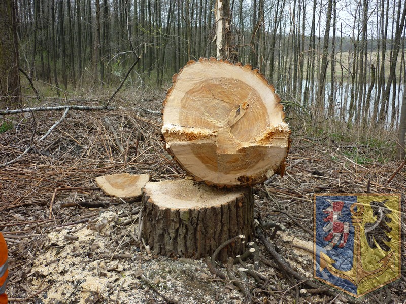 P1010844.JPG