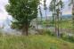 P_les_19