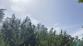 P_les_23