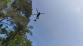 P_les_26