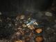 P_sternberk_29-11-2012