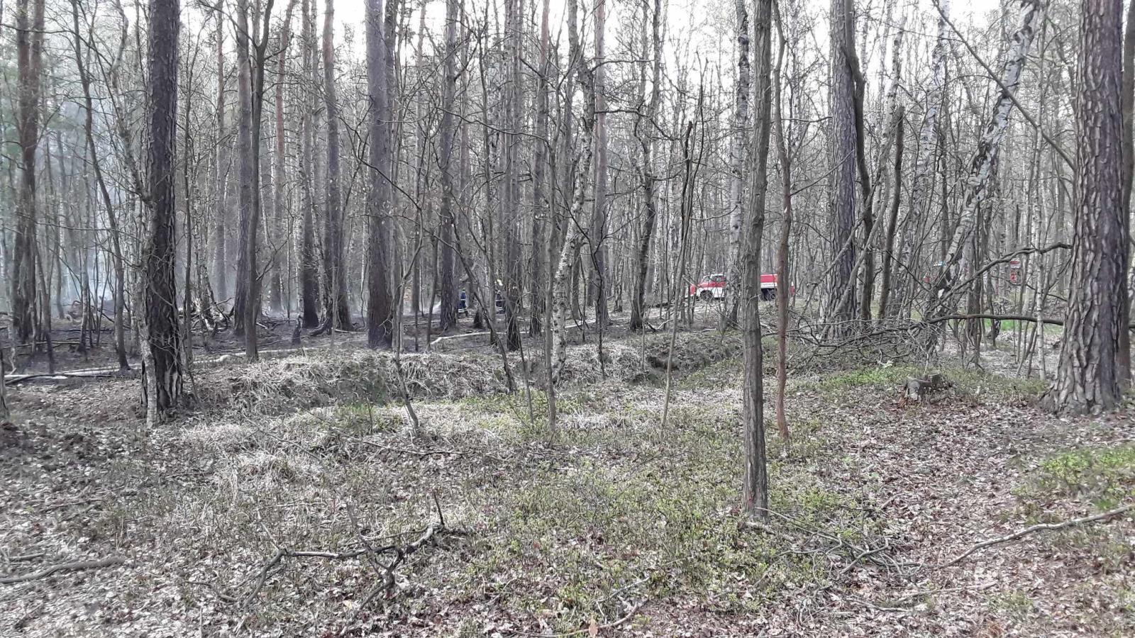 Požár Česká Lípa - Dolní Libchava