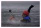 Polivka Miloslav (11)