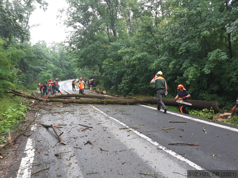 Posluchači během výcviku v reálných podmínkách pokáceli stromy ohrožující silniční provoz..jpg