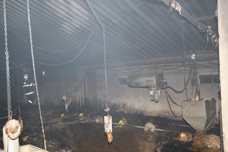 Požár-Dobré4-foto-HZS KH kraje.jpg