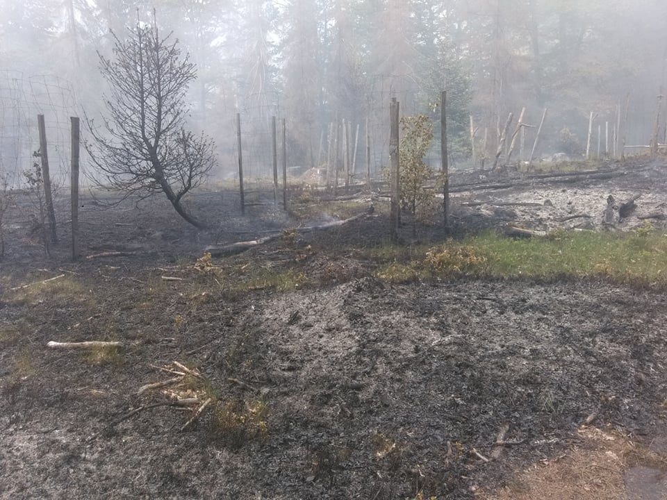 Požár Jetřichovice - Vysoká Lípa (4).jpg
